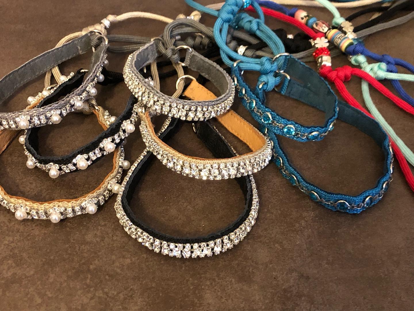 Show-Halsbänder Kollektion