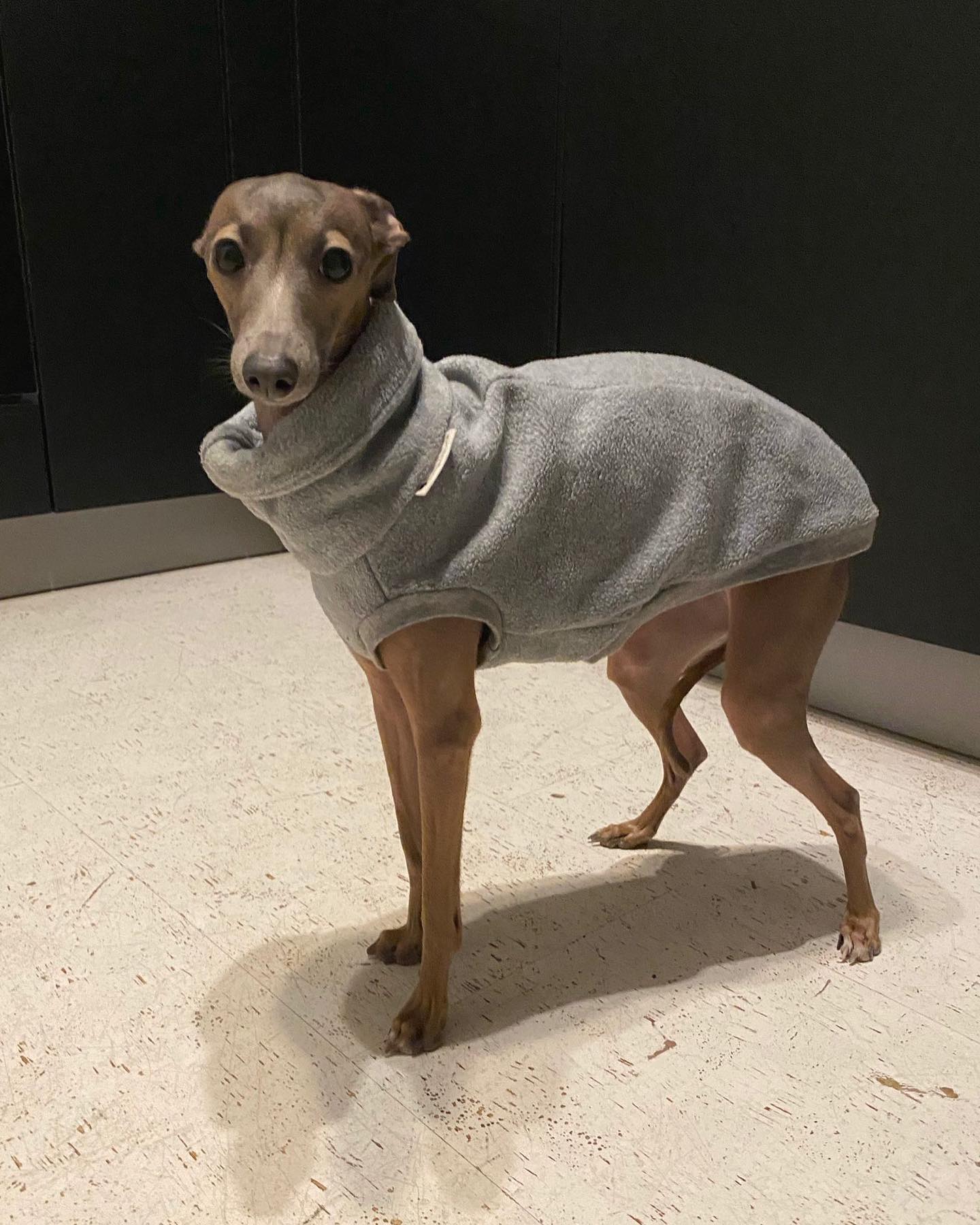 Fleece Rolli Grau